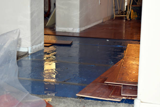 Professional Basement Flood Cleanup technician working in Cecil, PA